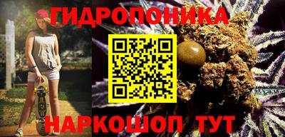 амф Новозыбков