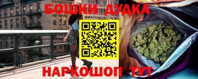 амф Новозыбков